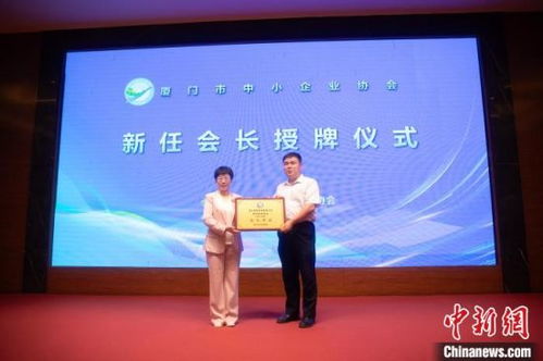 精準畫像助力，廈門中小企業借力網站建設駛入發展快車道